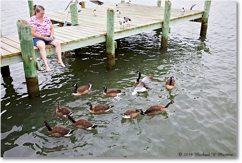 Chincoteague_2019Jun_5D4A1473 copy