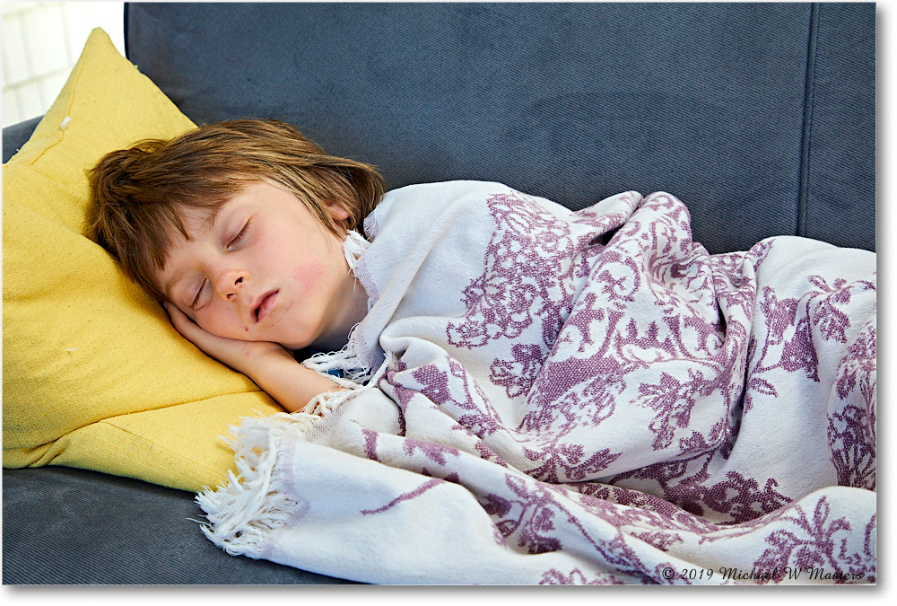 Chincoteague_2019Jun_5D4A1560 copy