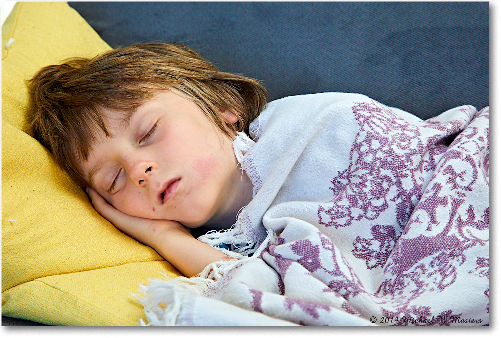 Chincoteague_2019Jun_5D4A1561 copy