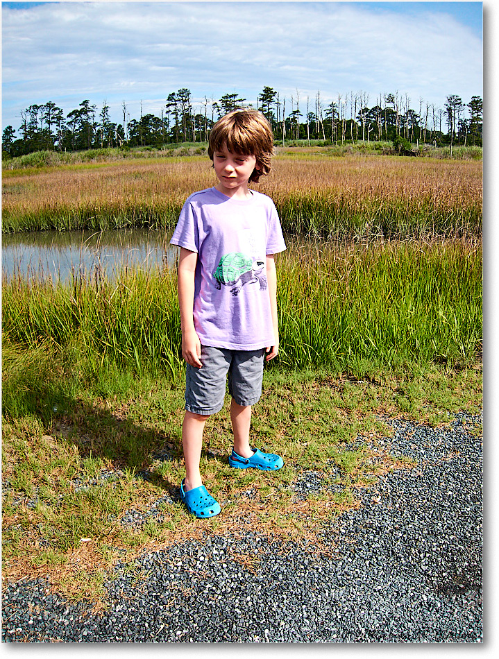 Chincoteague_2019Jun_IMG_3959 copy