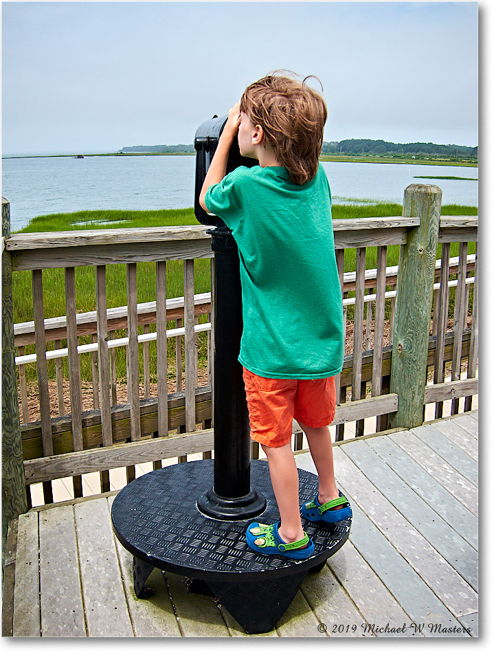 Chincoteague_2019Jun_IMG_3976 copy