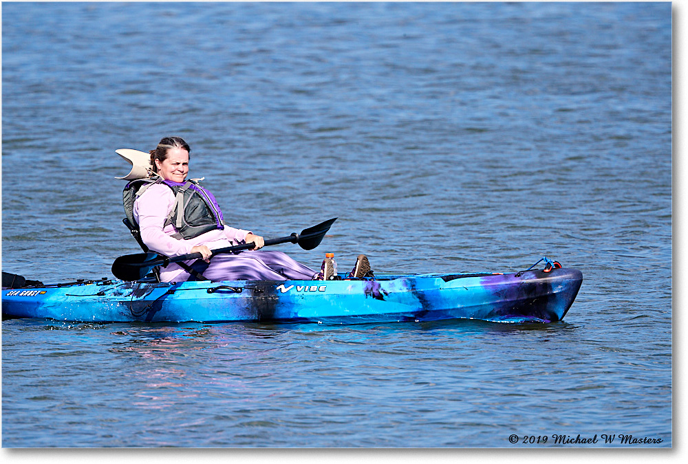 KayakingOysterBay_2019Jul_4DXB6422 copy