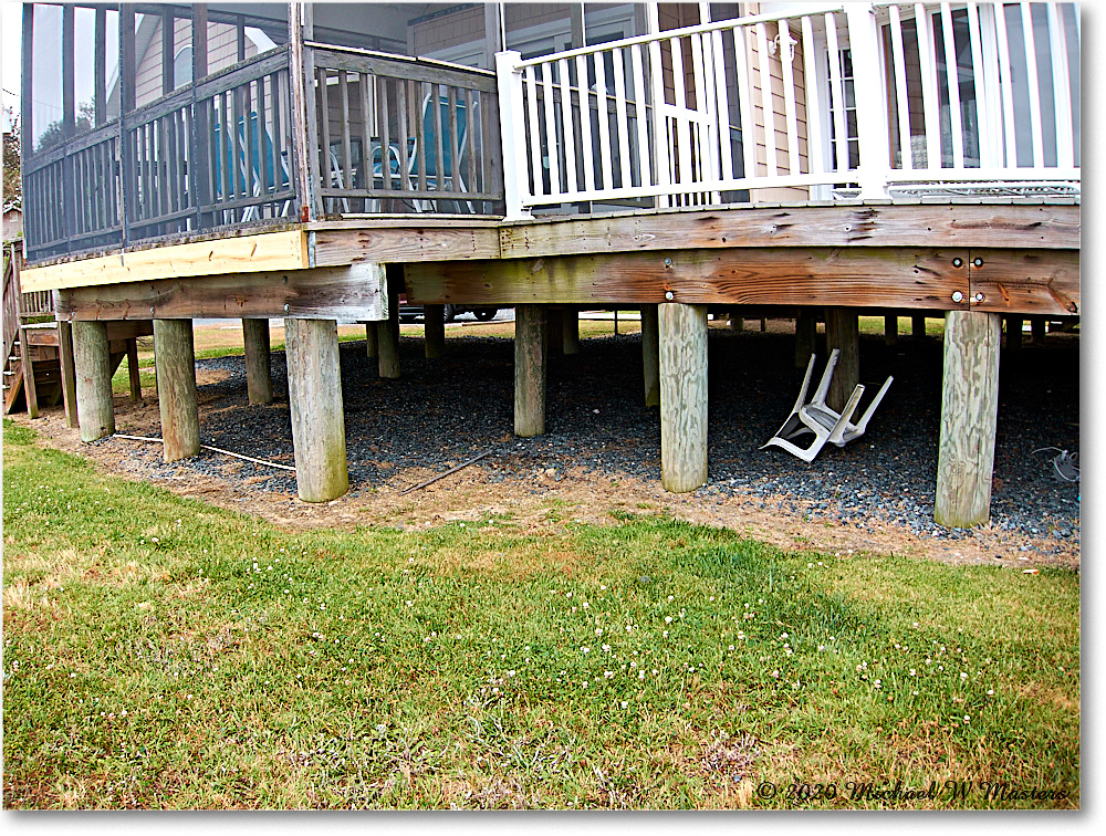 Family_Chinco_2020Jun_IMG_4002 copy