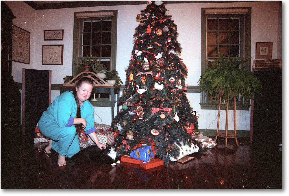 Susan&KatieCat_Tree_01_Christmas1009 copy