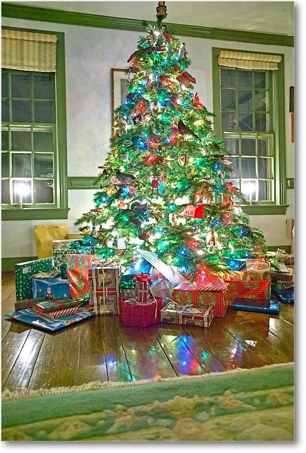 Christmas_2004_1FFT6772 copy