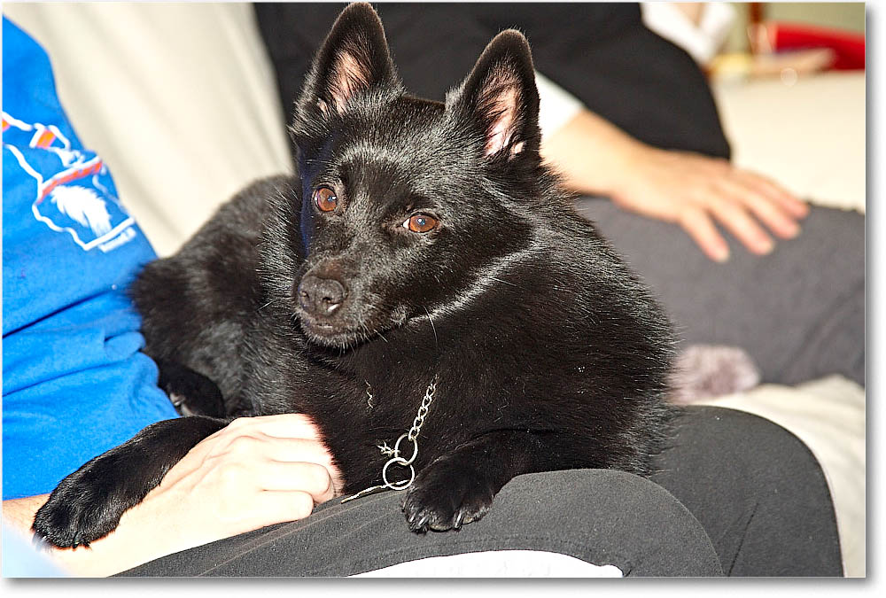 Christmas_2004__Y2F2722 copy