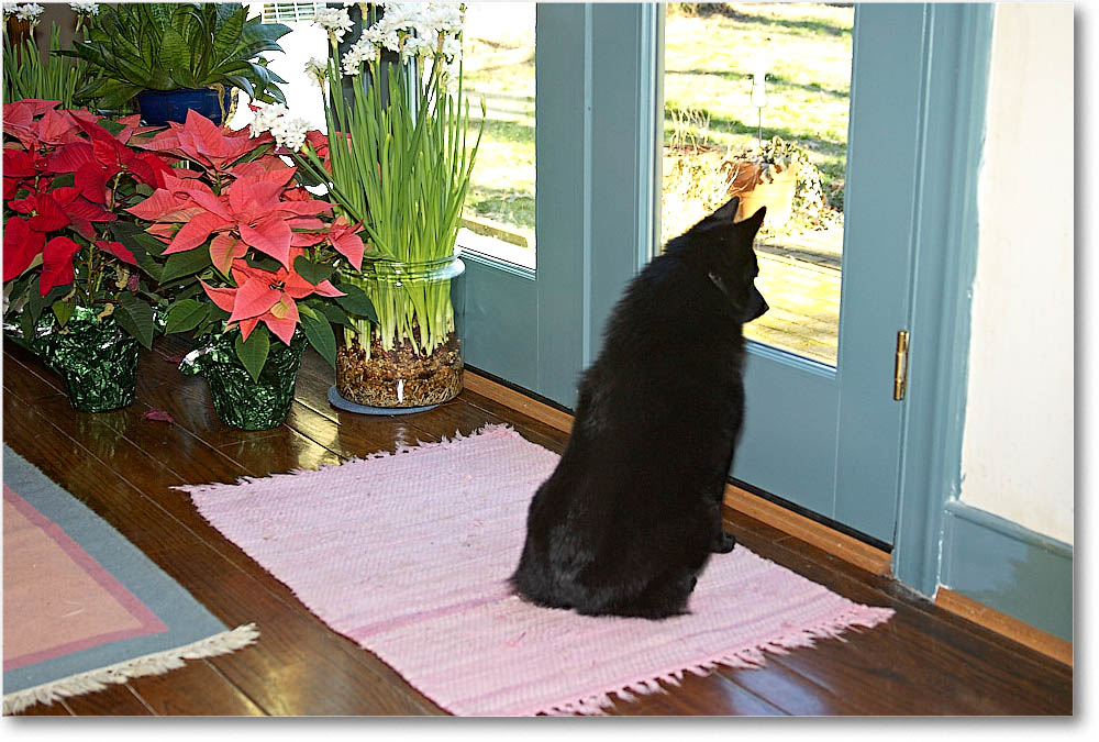 Christmas_2004__Y2F2741 copy