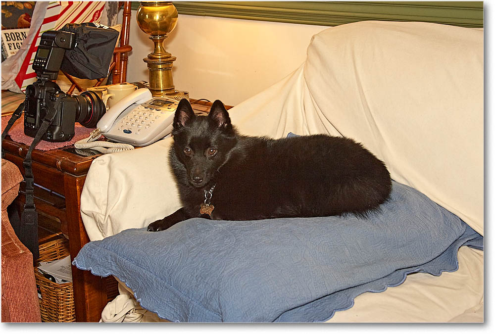 Christmas_2004__Y2F2752 copy