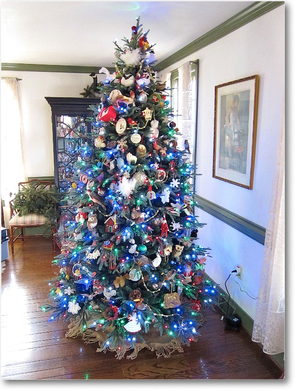 ChristmasTree(s)_2010_IMG_0812 copy