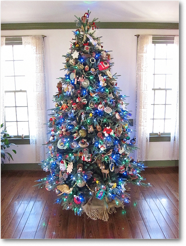 ChristmasTree(s)_2010_IMG_0813 copy