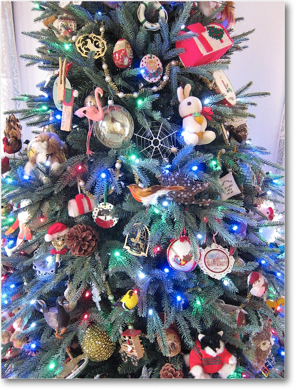 ChristmasTree(s)_2010_IMG_0829 copy