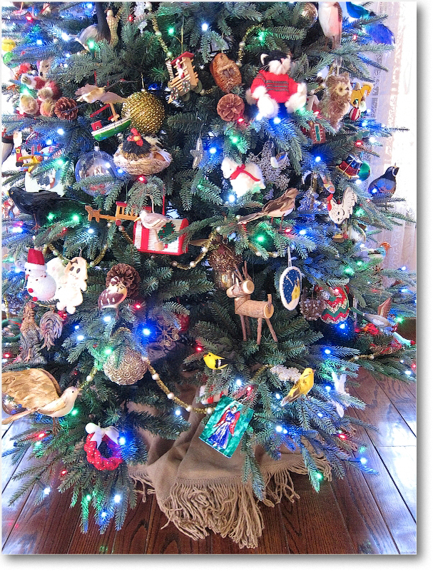 ChristmasTree_2010ChristmasIMG_0828 copy