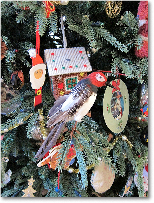 ChristmasTree_2010ChristmasIMG_0833 copy