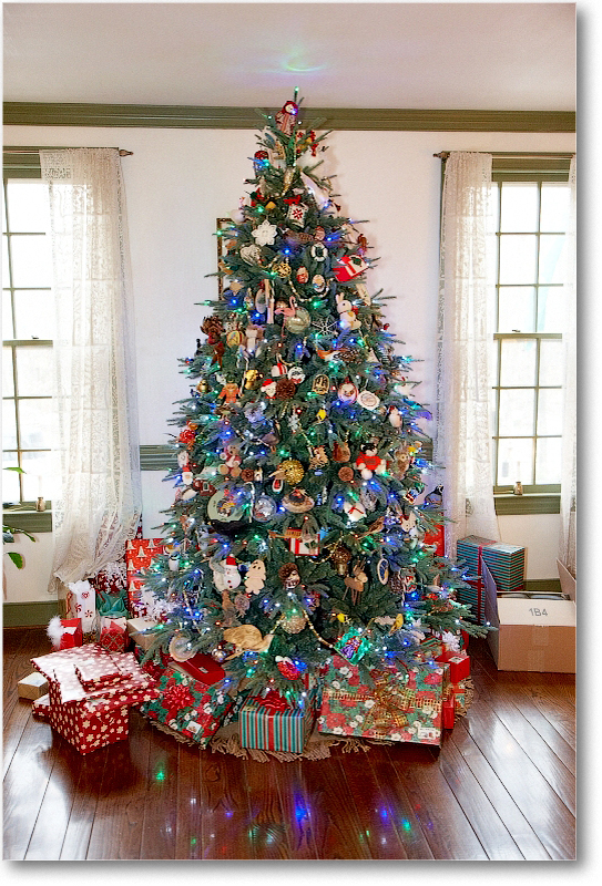 ChristmasTree_2010Christmas_S3A4388 copy