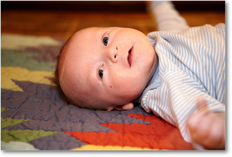 MichaelWesley_2010Christmas_S3A4369 copy