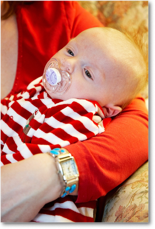 MichaelWesley_2010Christmas_S3A4449 copy