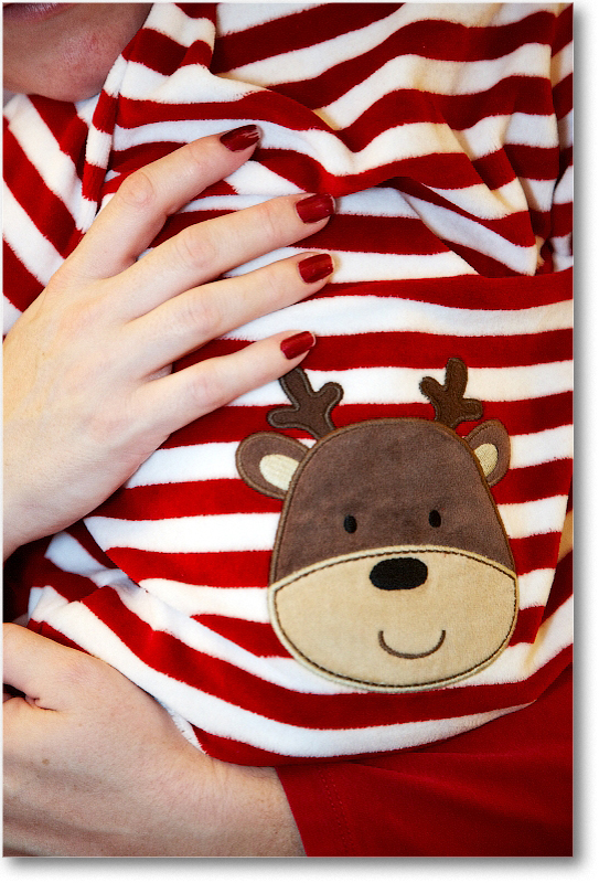 MichaelWesley_2010Christmas_S3A4530 copy