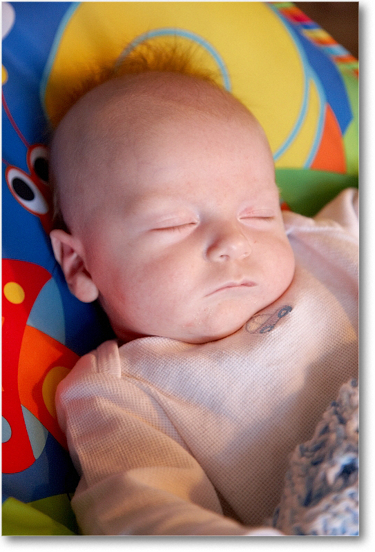 MichaelWesley_2010Dec_S3A4252 copy