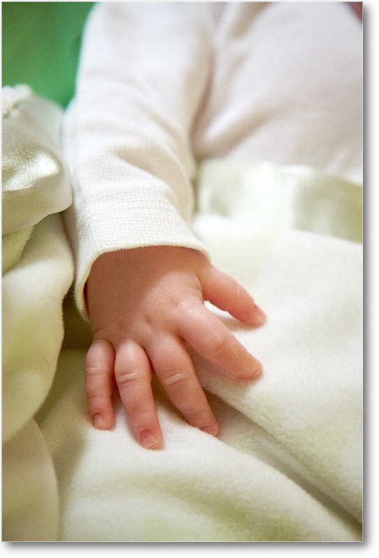 MichaelWesley_2010Dec_S3A4276 copy