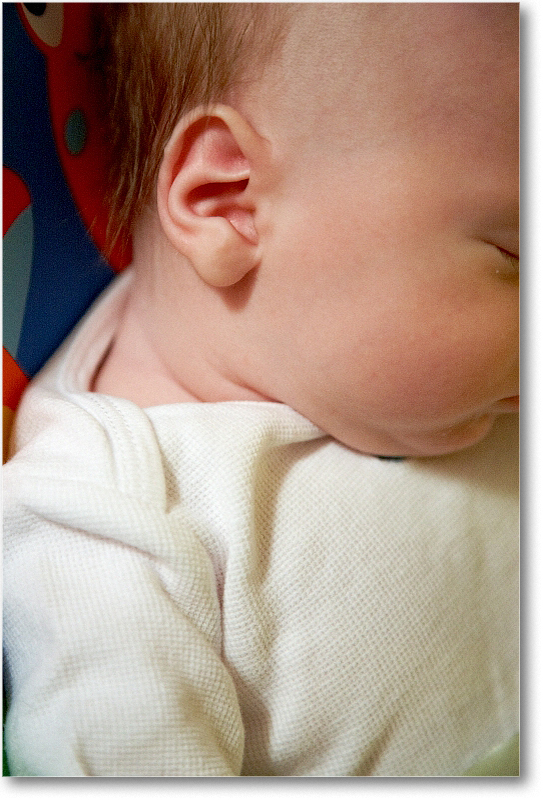 MichaelWesley_2010Dec_S3A4281 copy