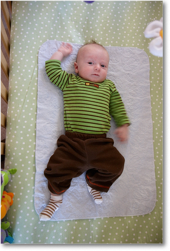 MichaelWesley_2010Dec_S3A4290 copy