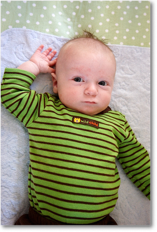 MichaelWesley_2010Dec_S3A4292 copy