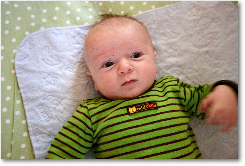 MichaelWesley_2010Dec_S3A4297 copy