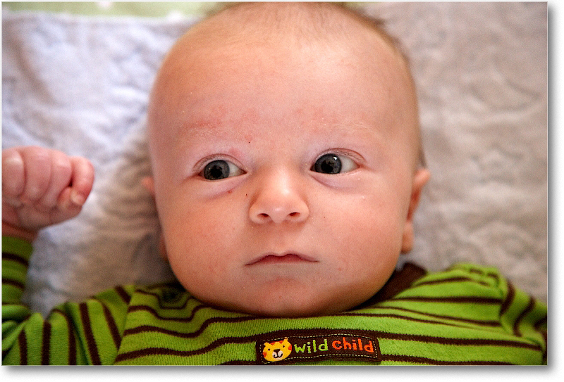 MichaelWesley_2010Dec_S3A4304 copy