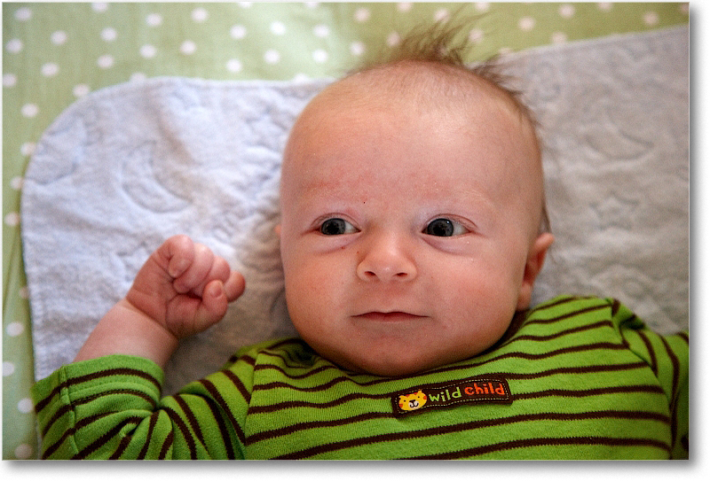 MichaelWesley_2010Dec_S3A4315 copy