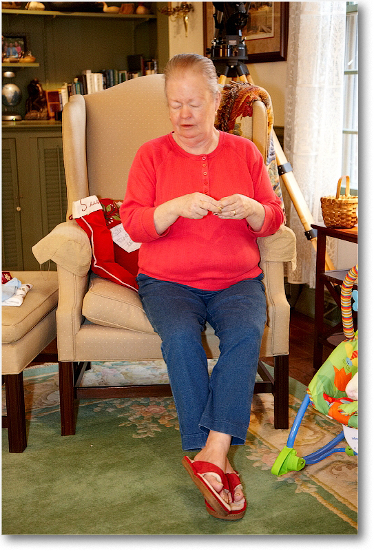 Susan_2010Christmas_S3A4375 copy