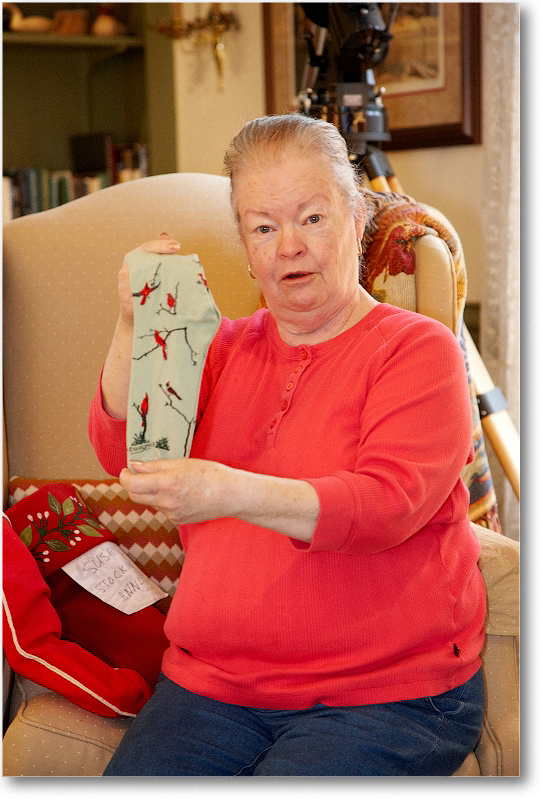 Susan_2010Christmas_S3A4391 copy