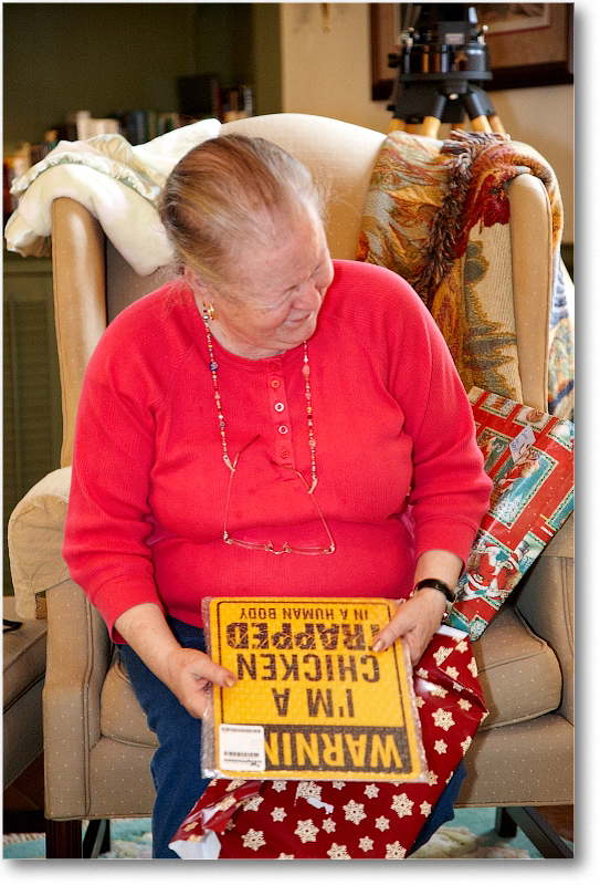 Susan_2010Christmas_S3A4458 copy