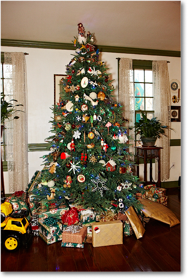 Christmas2011_S3A5832 copy