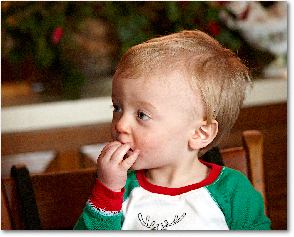 Christmas2011_S3A5870 copy