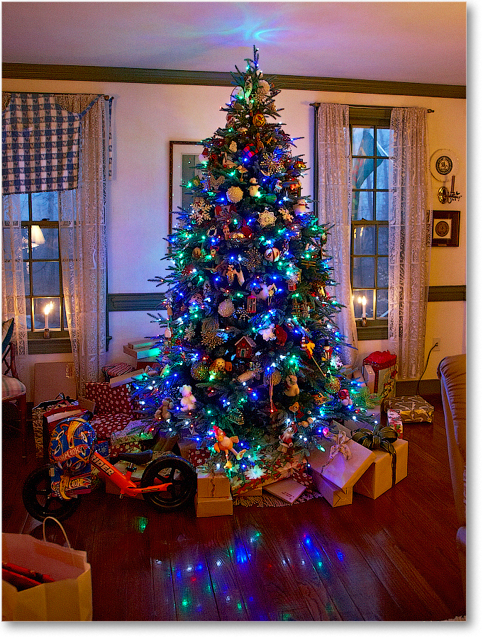 Christmas-2012Dec_S3A6557 copy