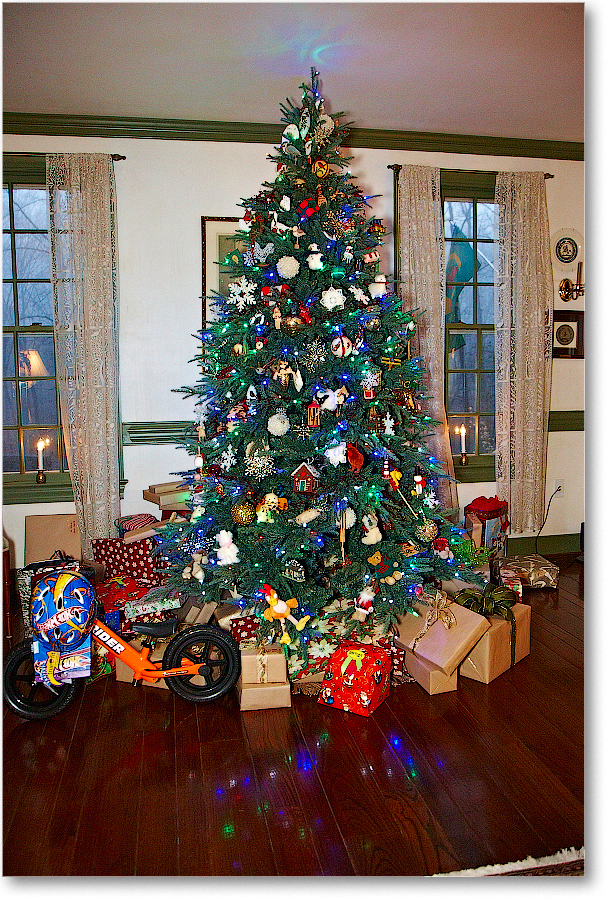 Christmas-2012Dec_S3A6559 copy