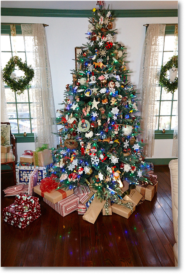 Christmas-2013_S3A7572 copy