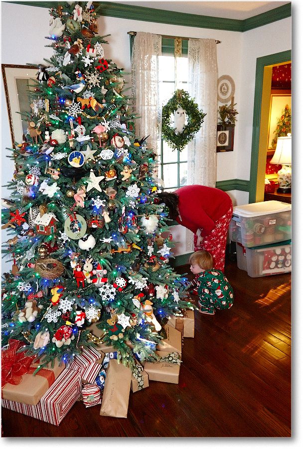 Christmas-2013_S3A7573 copy