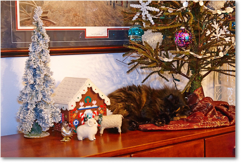 Christmas-2013_S3A7621 copy