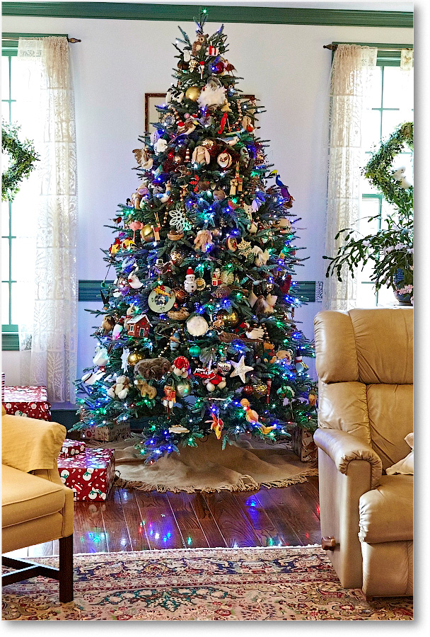 XmasDecorations-Christmas20142DXA5817 copy