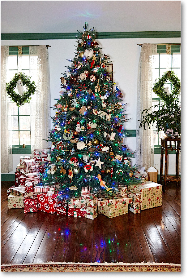 XmasDecorations-Christmas2014_S3A8483 copy