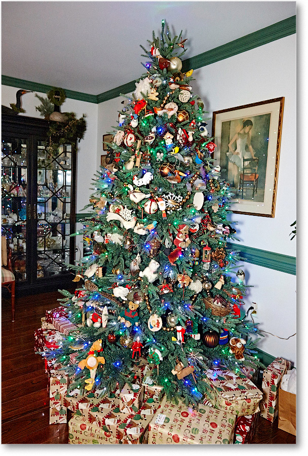 XmasDecorations-Christmas2014_S3A8491 copy