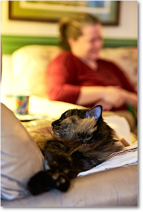 LuckyCat_Christmas_2015_2DXB1840 copy