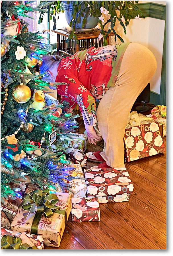 Susan_Christmas_2015_2DXB1832 copy