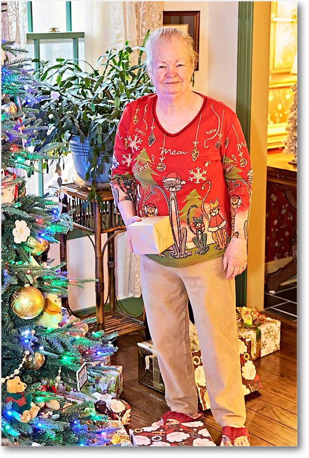 Susan_Christmas_2015_2DXB1834 copy