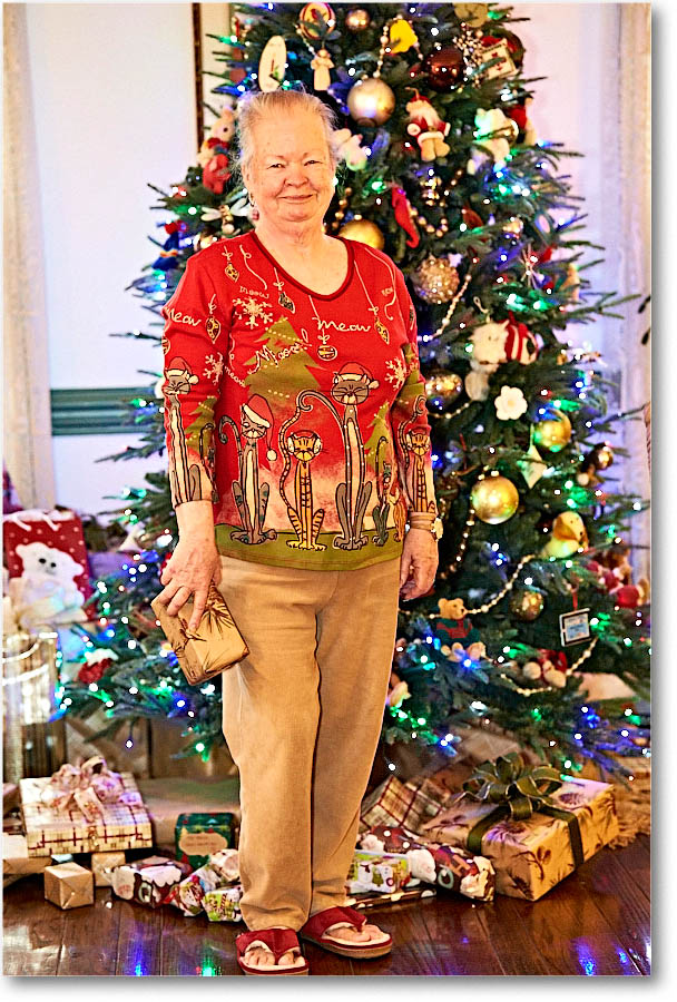 Susan_Christmas_2015_2DXB1874 copy