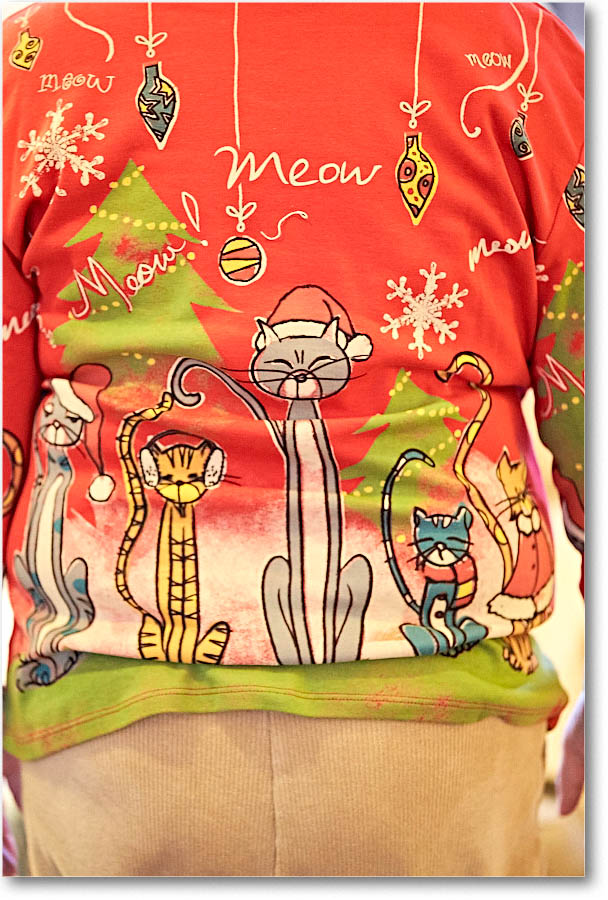 Susan_Christmas_2015_2DXB1944 copy