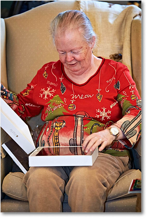 Susan_Christmas_2015_2DXB1990 copy