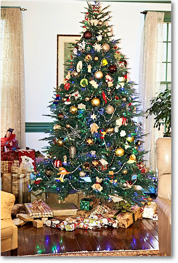 Tree_Christmas_2015_2DXB1861 copy