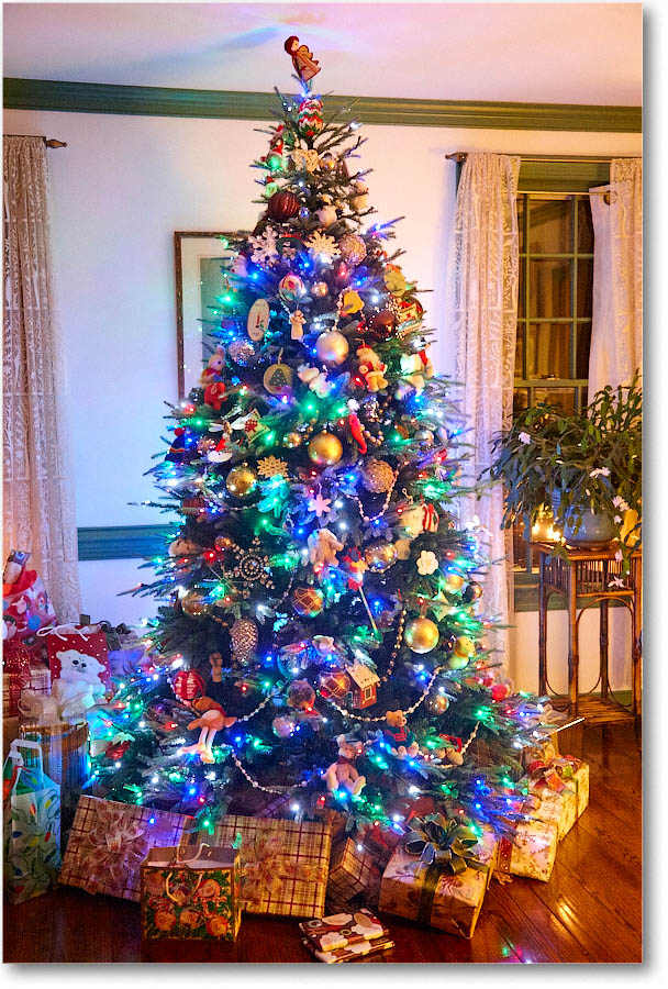 Tree_Christmas_2015_S3A9060 copy